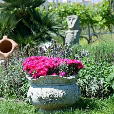 Отель Terme Providence 4*