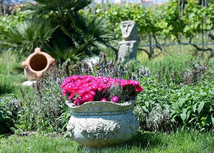 Отель Terme Providence 4*