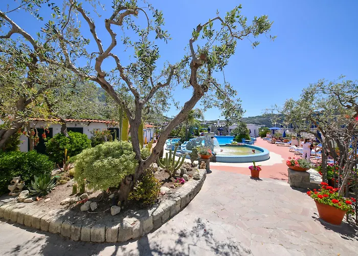 Отель Terme Providence