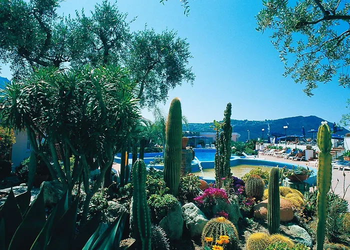 Terme Providence Отель Форио